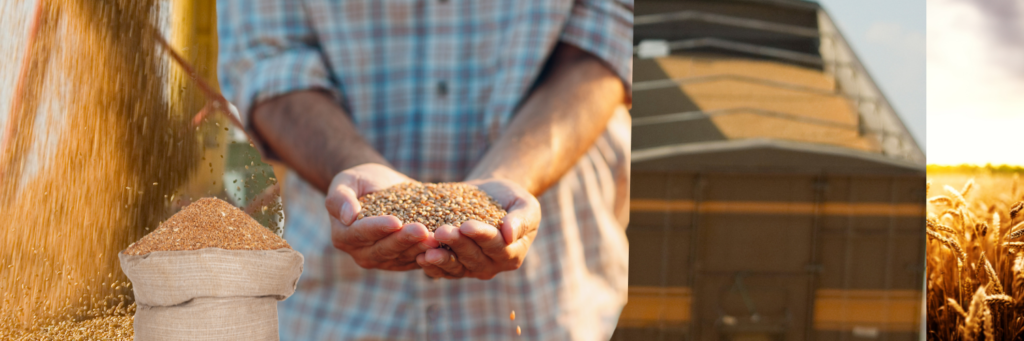 Wheat Producer Farmers